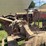 farmall-f-20-image-34