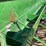 john-deere-8300-image-22
