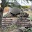 gooseneck-trailer-with-tank-image-8