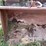 #1284-•-front-loader-bucket-attachment-image-13