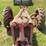 farmall-f-12-image-13