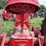 farmall-f-14-image-38