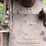 minneapolis-moline-rtu-image-121