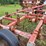 white-12-shank-chisel-plow-image-24