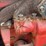 farmall-f-20-image-62