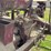 farmall-f-20-image-42