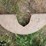 allis-chalmers-fenders-image-1