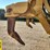 2020-caterpillar-150-awd-image-38