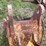 #1138-•-4-tooth-backhoe-bucket-image-15