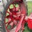 farmall-f-14-image-36