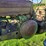 john-deere-60-image-35