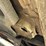 2017-ram-promaster-city-image-21