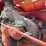 farmall-f-20-image-69