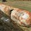 (1)-propane-tank---18-ft-image-8
