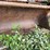 #1145-•-front-loader-bucket-attachment-image-15