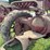farmall-f-20-image-19
