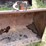 #1284-•-front-loader-bucket-attachment-image-15