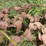 #1294-•-tracks-and-truck-rack-frame-image-13