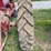 farmall-f-12-image-27