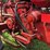 farmall-400-image-78