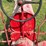 farmall-f-14-image-44