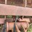 #1297-•-gannon-box-scraper-attachment-image-15