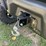 2019-can-am-defender-1000-xt-utv-image-11