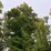 #3308-•-2026-campsite-lease-at-three-lakes-campground-(three-lakes,-wi)-image-19