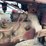 farmall-h-image-26