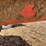 kuhn-knight-8124-image-17