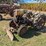 gibson-tractor-with-plow-image-1