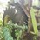 steiger-cougar-ii-image-37