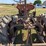 leader-model-b-tractor-image-7