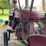 farmall-a-image-35