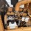 case-586e-image-7