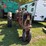 farmall-400-diesel-tractor-for-parts-image-2