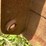 #1285-•-front-loader-bucket-attachment-image-16