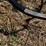 brillion-8-x-36”-row-cultivator-image-28