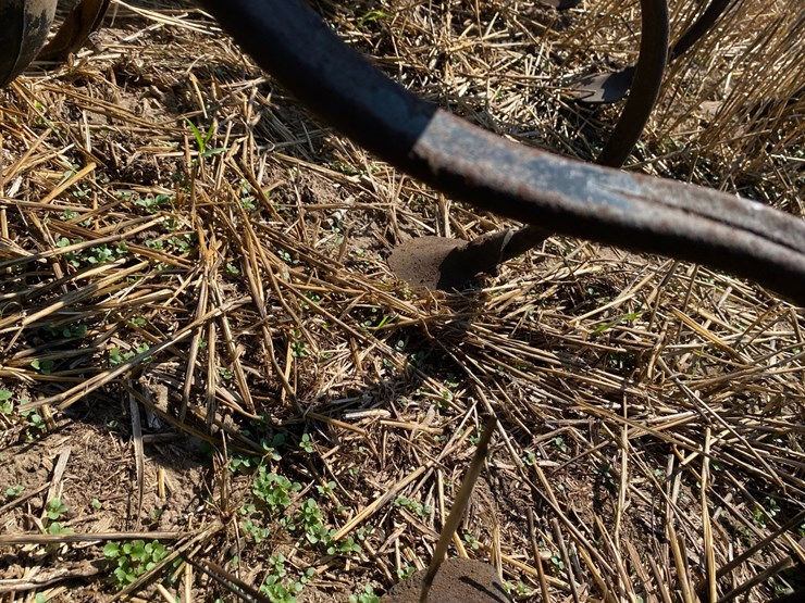 brillion-8-x-36”-row-cultivator-image-28