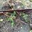 #1330-•-steel-bar-joists-image-3