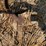 brillion-8-x-36”-row-cultivator-image-25
