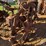farmall-f-12-image-22