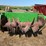 john-785-hydra-push-image-4