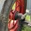 mccormick-deering-w-30-image-18