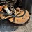 1997-elgin-eagle-f-image-30