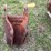 #1134-•-4-tooth-backhoe-bucket-image-6