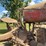 farmall-f-20-image-38