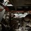 2023-tigercat-1055-image-54