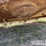 john-deere-hx20-image-23
