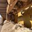 2011-caterpillar-d6k-xl-image-12